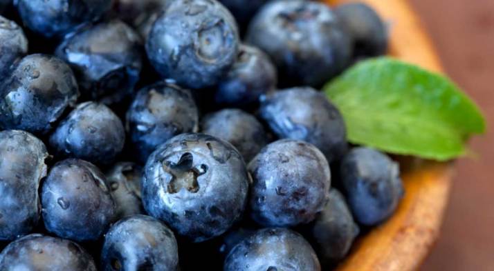 blueberries-antioxidants-acne